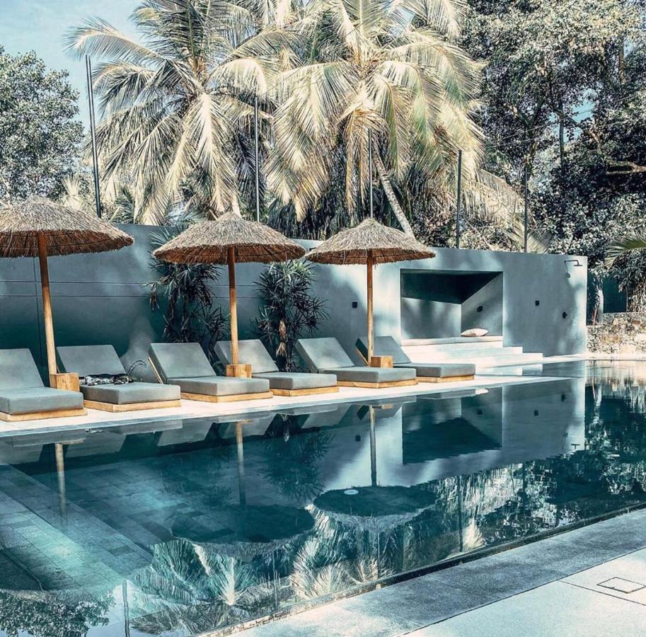 The Salty Pelican Yoga & Surf Retreat Dikwella Exteriör bild